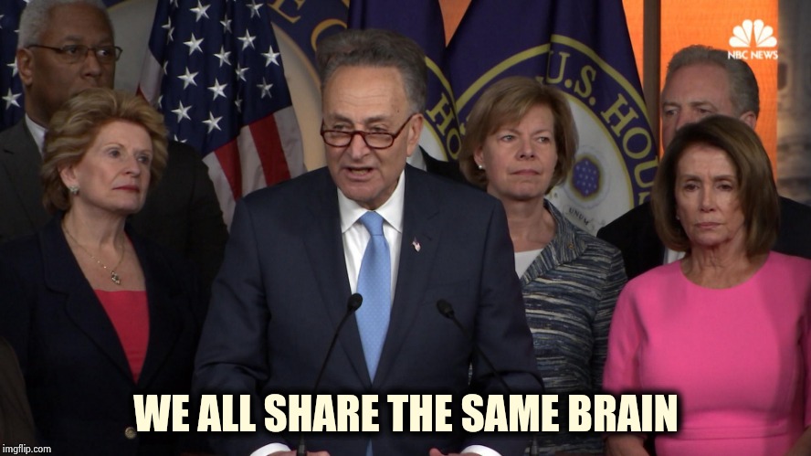 Democrat congressmen | WE ALL SHARE THE SAME BRAIN | image tagged in democrat congressmen | made w/ Imgflip meme maker