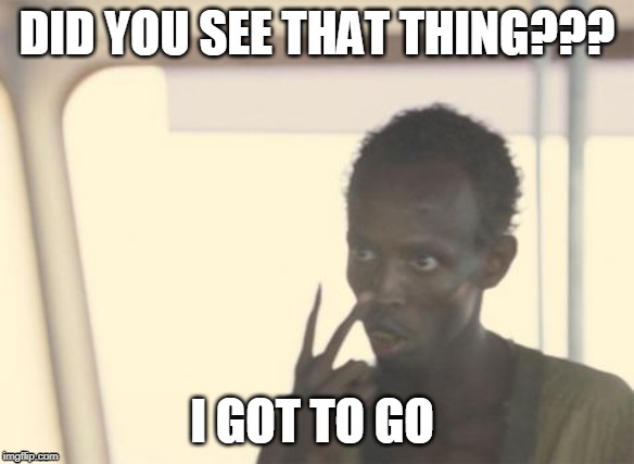 I'm The Captain Now | DID YOU SEE THAT THING??? I GOT TO GO | image tagged in memes,i'm the captain now | made w/ Imgflip meme maker