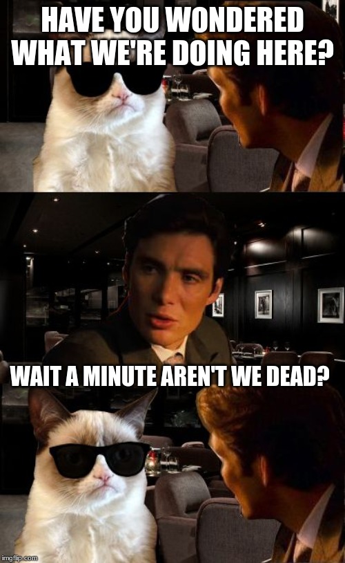Leonardo and Grumpy Cat | HAVE YOU WONDERED WHAT WE'RE DOING HERE? WAIT A MINUTE AREN'T WE DEAD? | image tagged in leonardo and grumpy cat | made w/ Imgflip meme maker
