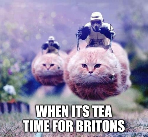 Storm Trooper Cats | WHEN ITS TEA TIME FOR BRITONS | image tagged in storm trooper cats | made w/ Imgflip meme maker