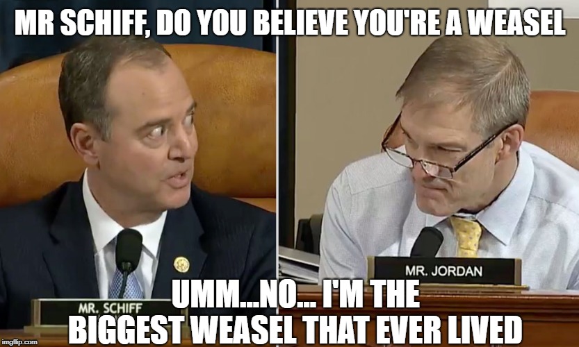 Adam Schiff | MR SCHIFF, DO YOU BELIEVE YOU'RE A WEASEL; UMM...NO... I'M THE BIGGEST WEASEL THAT EVER LIVED | image tagged in adam schiff,impeachment hearings,weasel | made w/ Imgflip meme maker