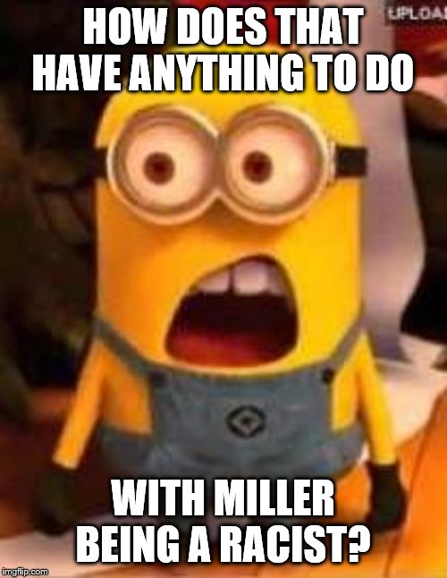 Whaaat? | HOW DOES THAT HAVE ANYTHING TO DO WITH MILLER BEING A RACIST? | image tagged in whaaat | made w/ Imgflip meme maker