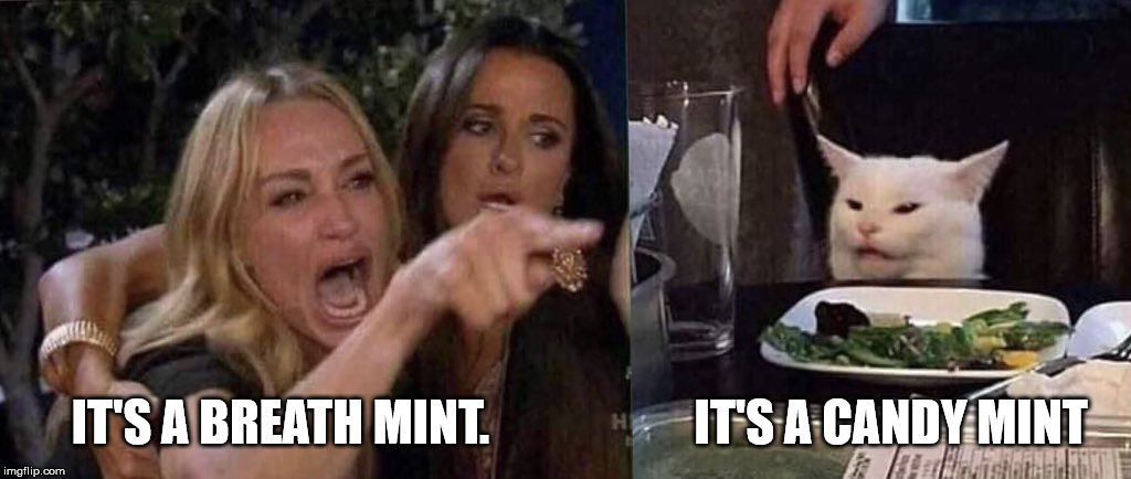 woman yelling at cat | IT'S A BREATH MINT.                     IT'S A CANDY MINT | image tagged in woman yelling at cat | made w/ Imgflip meme maker