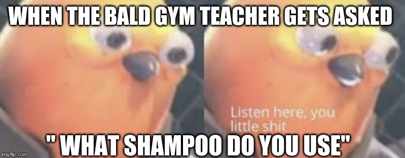 Listen here you little shit bird | WHEN THE BALD GYM TEACHER GETS ASKED; " WHAT SHAMPOO DO YOU USE" | image tagged in listen here you little shit bird | made w/ Imgflip meme maker