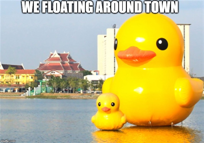 cute mommy and baby duck | WE FLOATING AROUND TOWN | image tagged in float,cute,memes,ducks,duck,lake | made w/ Imgflip meme maker