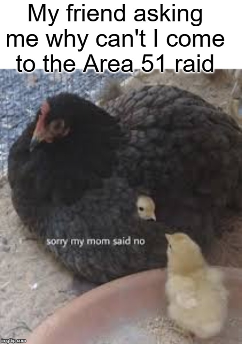 area 51 | My friend asking me why can't I come to the Area 51 raid | image tagged in sorry,funny,memes,duck,chickens,storm area 51 | made w/ Imgflip meme maker