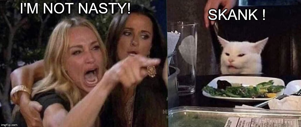 woman yelling at cat | SKANK ! I'M NOT NASTY! | image tagged in woman yelling at cat | made w/ Imgflip meme maker