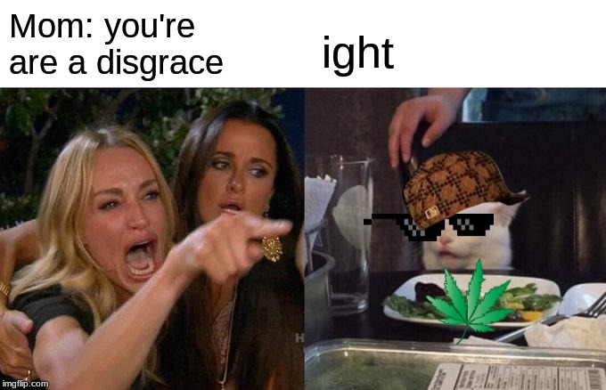 Woman Yelling At Cat Meme | Mom: you're are a disgrace; ight | image tagged in memes,woman yelling at cat | made w/ Imgflip meme maker