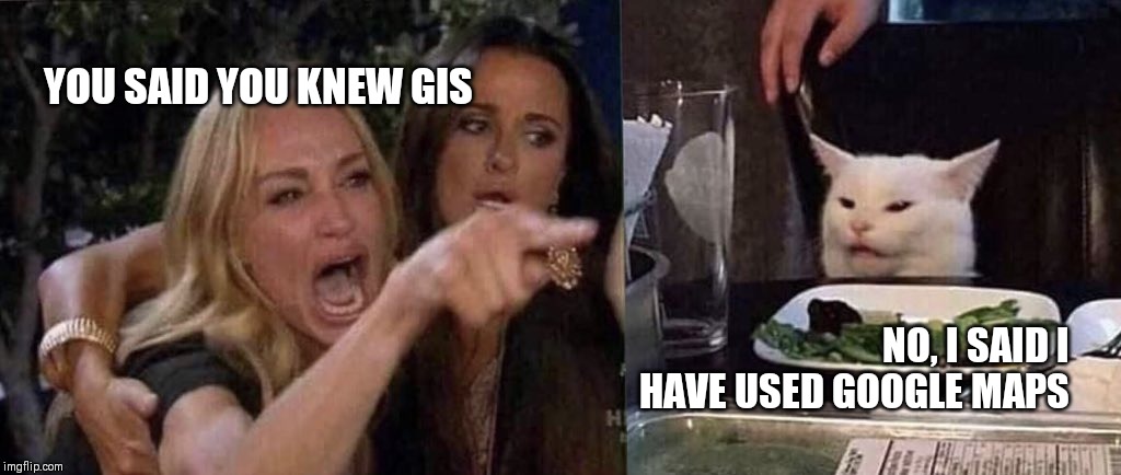 woman yelling at cat | YOU SAID YOU KNEW GIS; NO, I SAID I HAVE USED GOOGLE MAPS | image tagged in woman yelling at cat | made w/ Imgflip meme maker