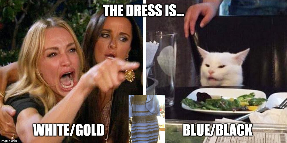 Smudge the cat | THE DRESS IS... WHITE/GOLD                               BLUE/BLACK | image tagged in smudge the cat | made w/ Imgflip meme maker