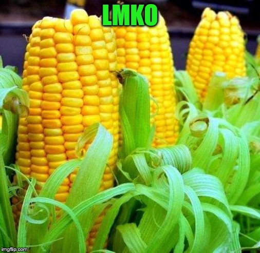 CORN meme | LMKO | image tagged in corn meme | made w/ Imgflip meme maker