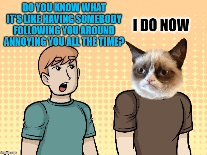 Annoying Friend | DO YOU KNOW WHAT IT'S LIKE HAVING SOMEBODY FOLLOWING YOU AROUND ANNOYING YOU ALL THE TIME? I DO NOW | image tagged in funny memes,grumpy cat,kids,annoying people,whatever | made w/ Imgflip meme maker