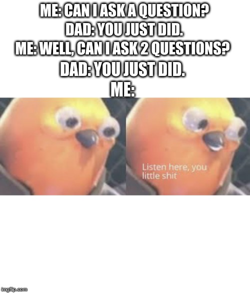 Listen here you little shit bird | ME: CAN I ASK A QUESTION? DAD: YOU JUST DID. ME: WELL, CAN I ASK 2 QUESTIONS? DAD: YOU JUST DID. ME: | image tagged in listen here you little shit bird | made w/ Imgflip meme maker