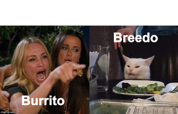 Woman Yelling At Cat Meme | Breedo; Burrito | image tagged in memes,woman yelling at cat | made w/ Imgflip meme maker