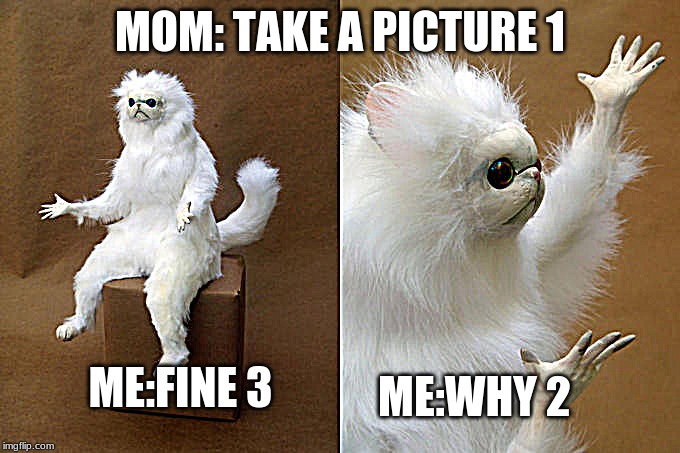 Persian Cat Room Guardian Meme | MOM: TAKE A PICTURE 1; ME:WHY 2; ME:FINE 3 | image tagged in memes,persian cat room guardian | made w/ Imgflip meme maker