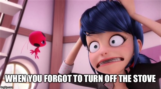 WHEN YOU FORGOT TO TURN OFF THE STOVE | image tagged in miraculous ladybug | made w/ Imgflip meme maker