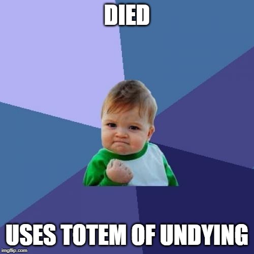 Success Kid Meme | DIED; USES TOTEM OF UNDYING | image tagged in memes,success kid | made w/ Imgflip meme maker