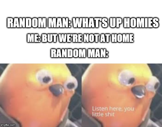 Random Man | RANDOM MAN: WHAT'S UP HOMIES; ME: BUT WE'RE NOT AT HOME; RANDOM MAN: | image tagged in homies,exposed,home,random,roasted | made w/ Imgflip meme maker