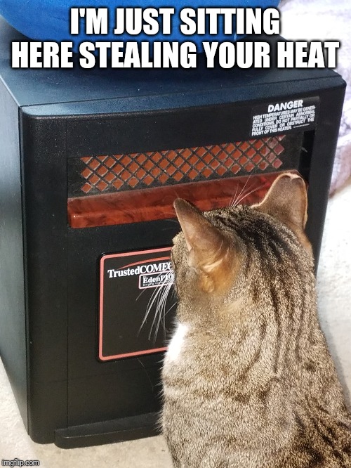 Hot cat | I'M JUST SITTING HERE STEALING YOUR HEAT | image tagged in hot cat | made w/ Imgflip meme maker