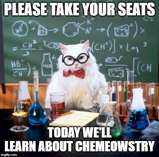 Chemistry Cat | PLEASE TAKE YOUR SEATS; TODAY WE'LL LEARN ABOUT CHEMEOWSTRY | image tagged in memes,chemistry cat | made w/ Imgflip meme maker