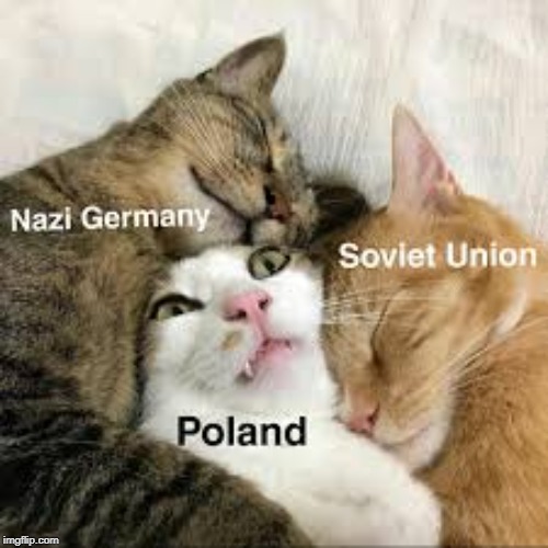 wwII be like | image tagged in wwii | made w/ Imgflip meme maker