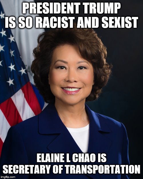 She's also an immigrant. We could probably do a whole series on how "racist" and "sexist" our President is. | PRESIDENT TRUMP IS SO RACIST AND SEXIST; ELAINE L CHAO IS SECRETARY OF TRANSPORTATION | image tagged in trump cabinet,president trump,stupid liberals,asians,women | made w/ Imgflip meme maker