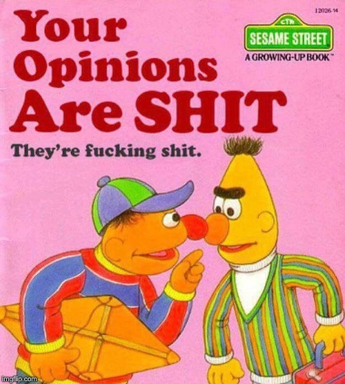 Bert And Ernie Shit Opinions | image tagged in bert and ernie shit opinions | made w/ Imgflip meme maker