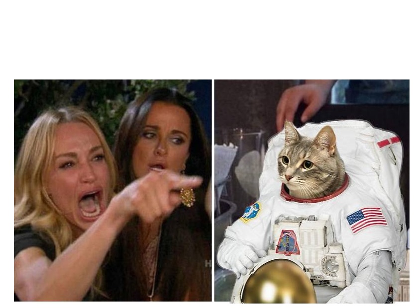 High Quality WOMAN YELLING AT CAT  ASTRONAUT Blank Meme Template