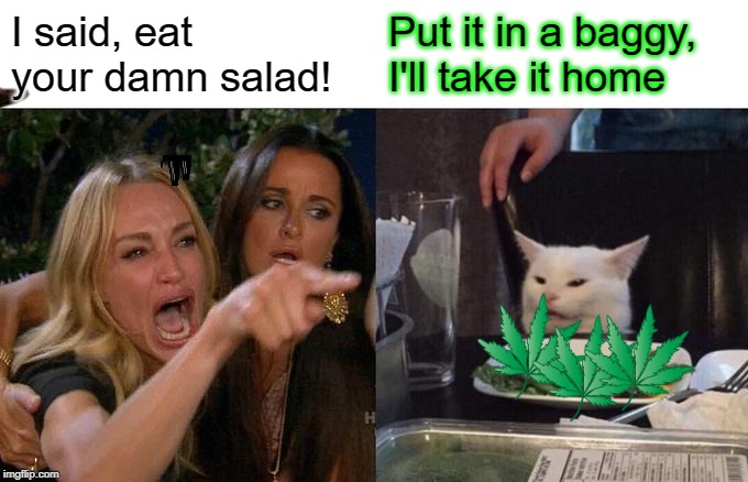 Woman Yelling At Cat | I said, eat your damn salad! Put it in a baggy, I'll take it home | image tagged in memes,woman yelling at cat | made w/ Imgflip meme maker