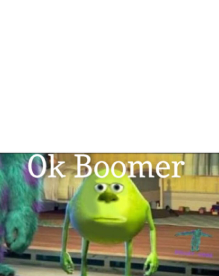 Ok Boomer Blank Meme Template