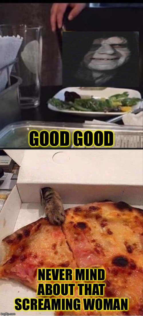 Pizza vs salad | GOOD GOOD; NEVER MIND ABOUT THAT SCREAMING WOMAN | image tagged in woman yelling at cat,darth sidious,memes,funny | made w/ Imgflip meme maker