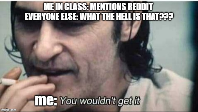 You wouldn't get it | ME IN CLASS: MENTIONS REDDIT 
EVERYONE ELSE: WHAT THE HELL IS THAT??? me: | image tagged in you wouldn't get it | made w/ Imgflip meme maker