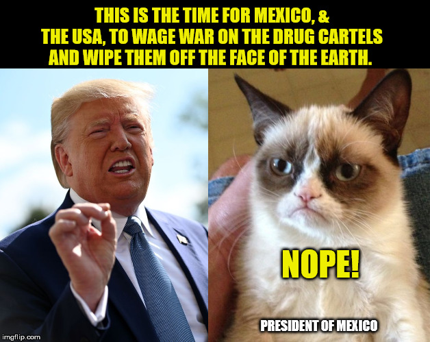 Who would run the Mexican Government then? | THIS IS THE TIME FOR MEXICO, & THE USA, TO WAGE WAR ON THE DRUG CARTELS AND WIPE THEM OFF THE FACE OF THE EARTH. NOPE! PRESIDENT OF MEXICO | image tagged in memes,president trump,mexico,war on drugs,maga | made w/ Imgflip meme maker
