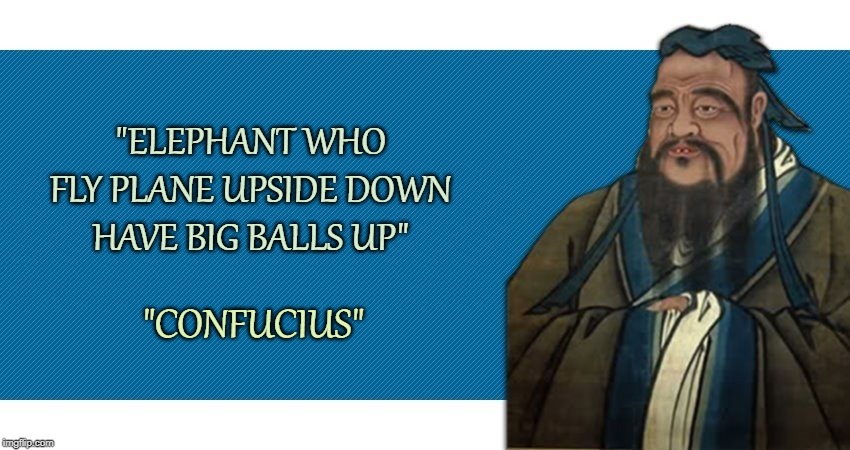 Confucius | "ELEPHANT WHO FLY PLANE UPSIDE DOWN HAVE BIG BALLS UP"; "CONFUCIUS" | image tagged in confucius | made w/ Imgflip meme maker