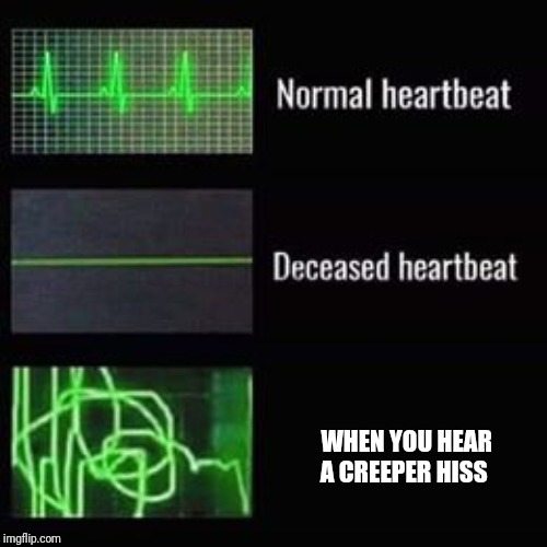 heartbeat rate | WHEN YOU HEAR A CREEPER HISS | image tagged in heartbeat rate | made w/ Imgflip meme maker
