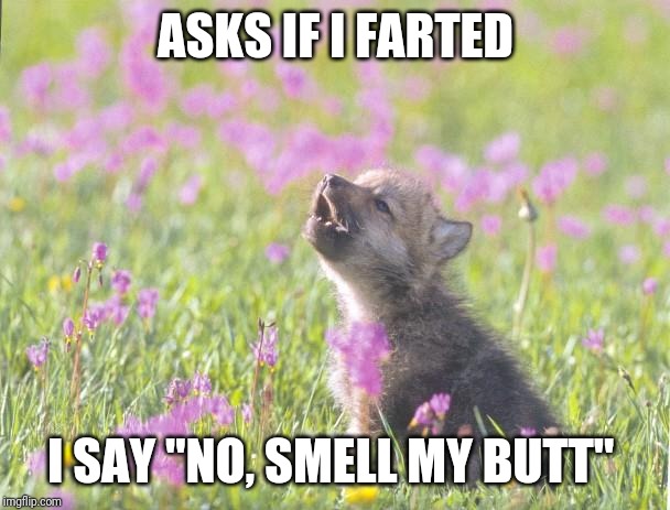 Baby Insanity Wolf Meme | ASKS IF I FARTED; I SAY "NO, SMELL MY BUTT" | image tagged in memes,baby insanity wolf,AdviceAnimals | made w/ Imgflip meme maker