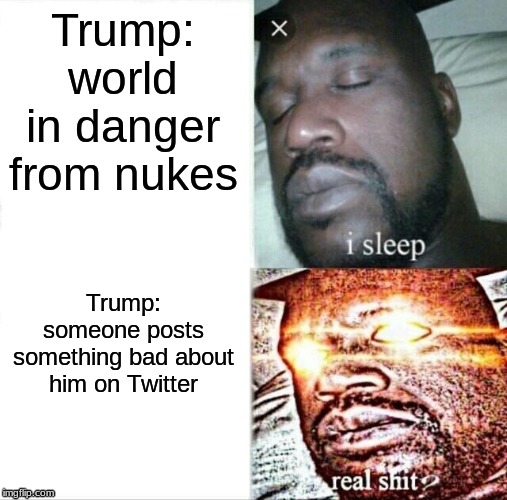 Sleeping Shaq Meme | Trump: world in danger from nukes; Trump: someone posts something bad about him on Twitter | image tagged in memes,sleeping shaq | made w/ Imgflip meme maker