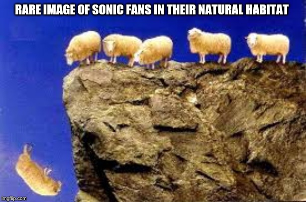 dumb sheep | RARE IMAGE OF SONIC FANS IN THEIR NATURAL HABITAT | image tagged in memes,sheep,sega,sheeple,sonic | made w/ Imgflip meme maker