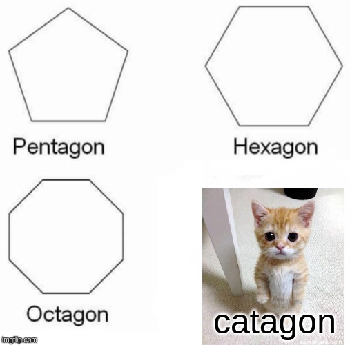 Pentagon Hexagon Octagon | catagon | image tagged in memes,pentagon hexagon octagon | made w/ Imgflip meme maker