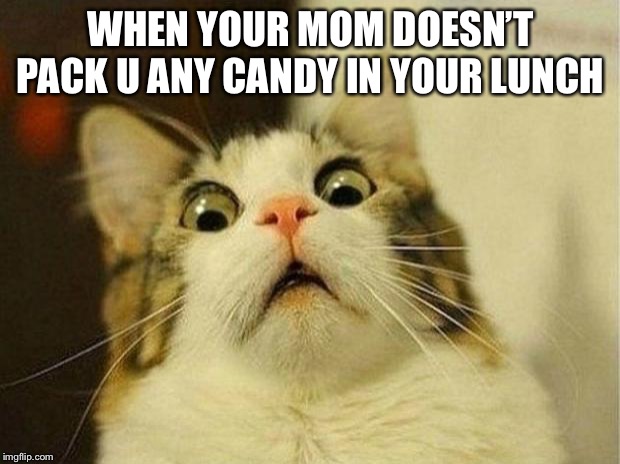 Scared Cat | WHEN YOUR MOM DOESN’T PACK U ANY CANDY IN YOUR LUNCH | image tagged in memes,scared cat | made w/ Imgflip meme maker