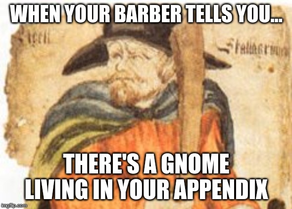 Medieval medicine | WHEN YOUR BARBER TELLS YOU... THERE'S A GNOME LIVING IN YOUR APPENDIX | image tagged in medieval,gnome,barber,medicine | made w/ Imgflip meme maker