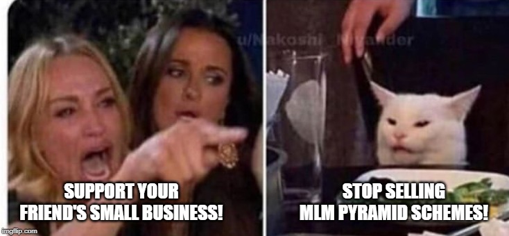 Cat at table | STOP SELLING MLM PYRAMID SCHEMES! SUPPORT YOUR FRIEND'S SMALL BUSINESS! | image tagged in cat at table | made w/ Imgflip meme maker