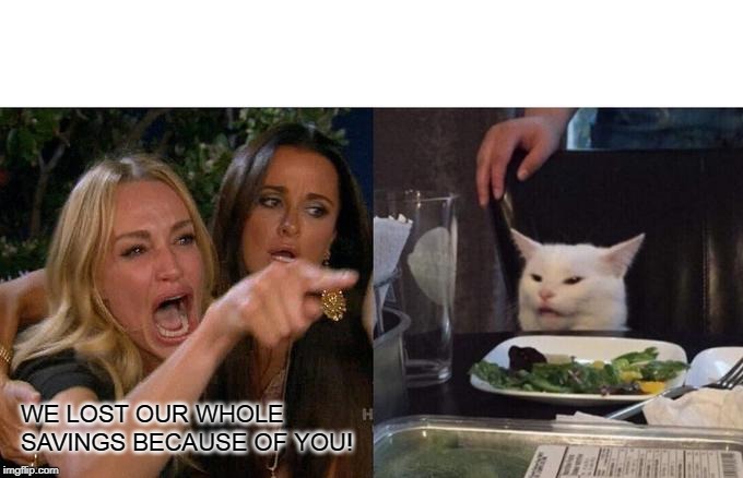 Woman Yelling At Cat Meme | WE LOST OUR WHOLE SAVINGS BECAUSE OF YOU! | image tagged in memes,woman yelling at cat | made w/ Imgflip meme maker