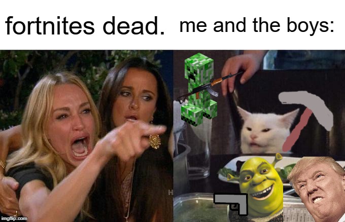 Woman Yelling At Cat Meme | fortnites dead. me and the boys: | image tagged in memes,woman yelling at cat | made w/ Imgflip meme maker