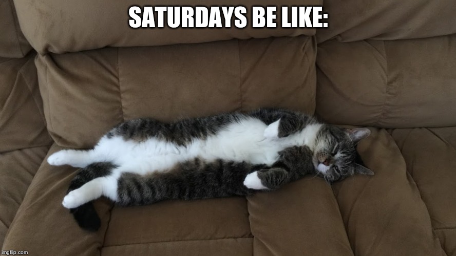 lazy cat | SATURDAYS BE LIKE: | image tagged in lazy cat | made w/ Imgflip meme maker
