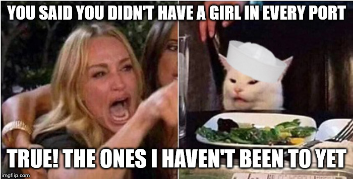 YOU SAID YOU DIDN'T HAVE A GIRL IN EVERY PORT; TRUE! THE ONES I HAVEN'T BEEN TO YET | image tagged in us navy | made w/ Imgflip meme maker