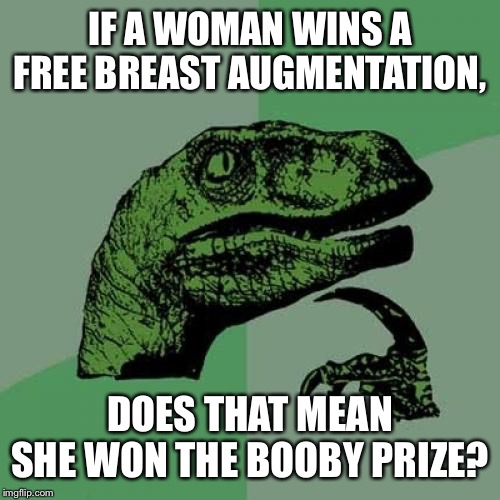 Philosoraptor Meme | IF A WOMAN WINS A FREE BREAST AUGMENTATION, DOES THAT MEAN SHE WON THE BOOBY PRIZE? | image tagged in memes,philosoraptor | made w/ Imgflip meme maker