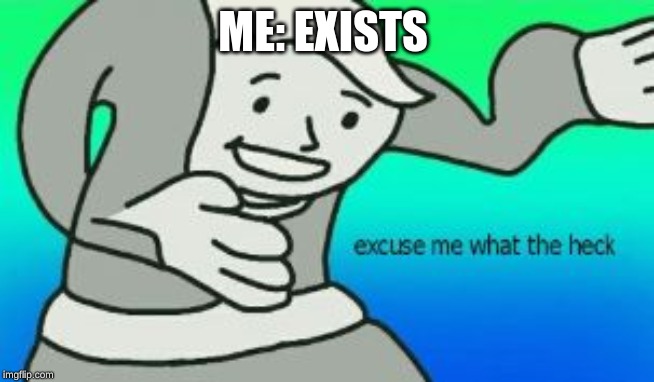 Excuse Me What The Heck | ME: EXISTS | image tagged in excuse me what the heck | made w/ Imgflip meme maker