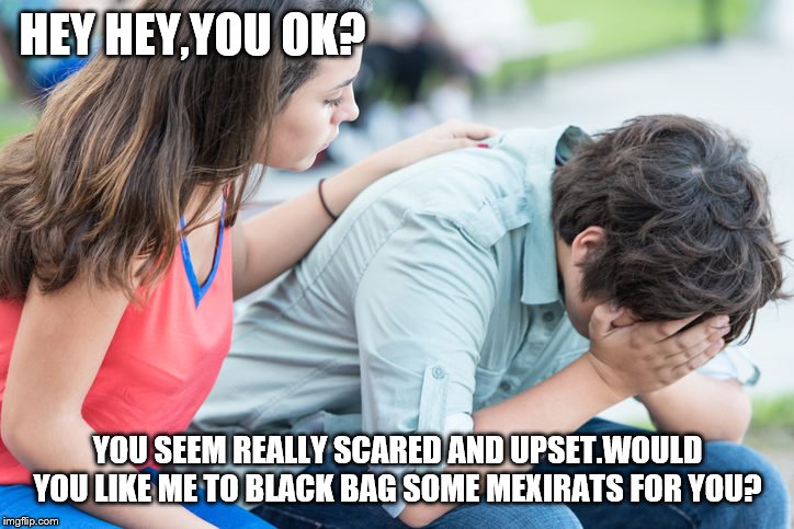 HEY HEY,YOU OK? YOU SEEM REALLY SCARED AND UPSET.WOULD YOU LIKE ME TO BLACK BAG SOME MEXIRATS FOR YOU? | made w/ Imgflip meme maker
