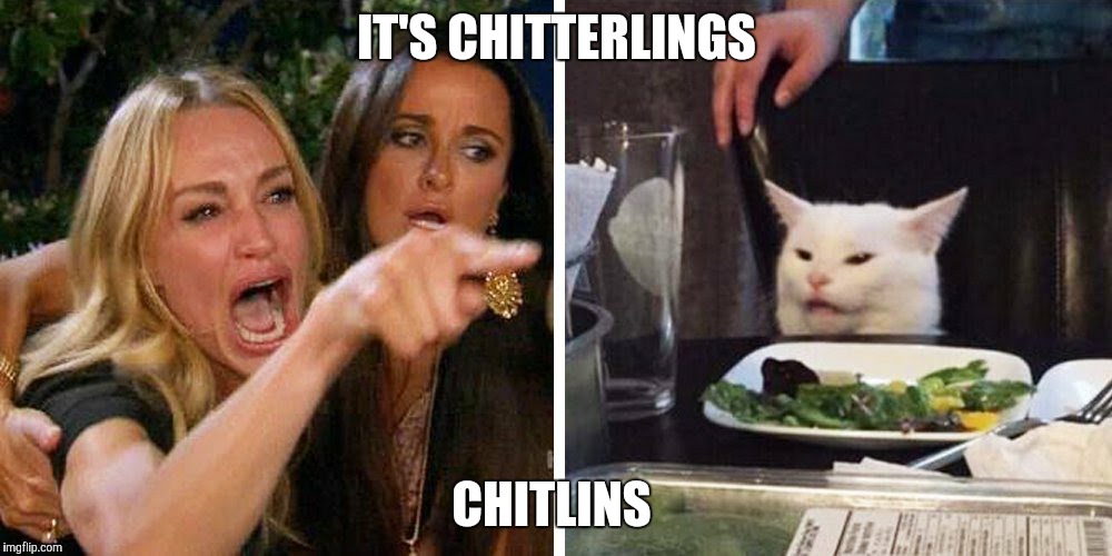 Smudge the cat | IT'S CHITTERLINGS; CHITLINS | image tagged in smudge the cat | made w/ Imgflip meme maker